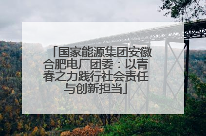 国家能源集团安徽合肥电厂团委：以青春之力践行社会责任与创新担当